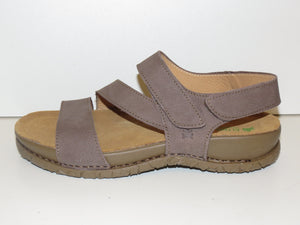 El Naturalista 5860 plume