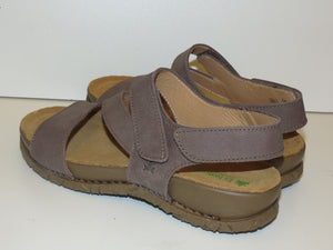 El Naturalista 5860 plume