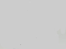 Load image into Gallery viewer, Jungla 7564 grænir